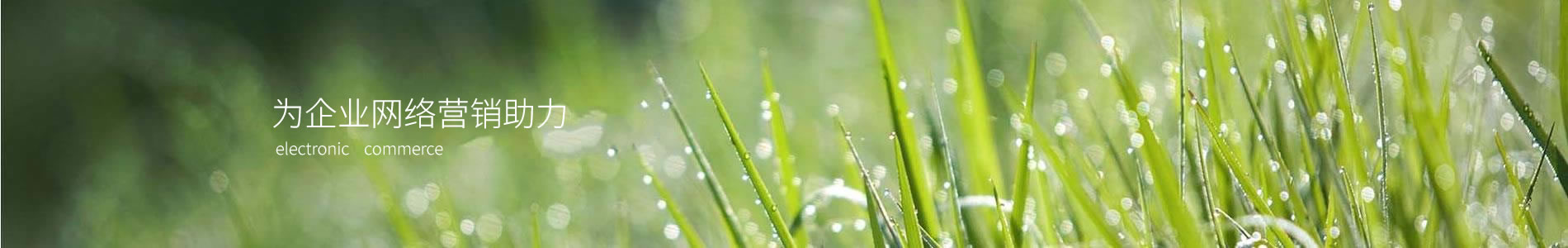 мѶصӿƼ޹˾